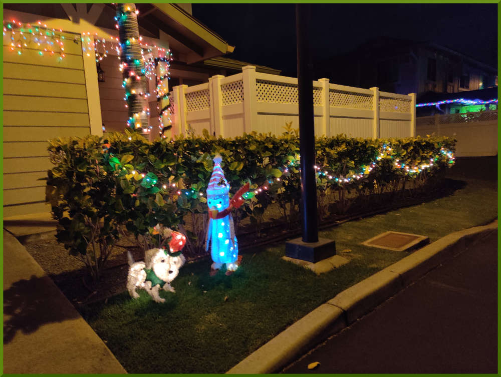 2021 Christmas decorations around Iwalani Village